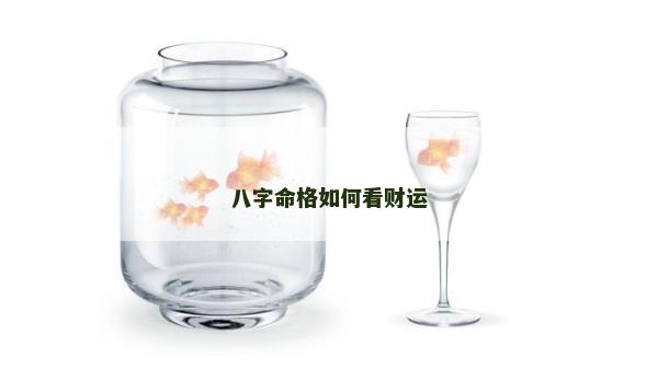 八字命格如何看财运