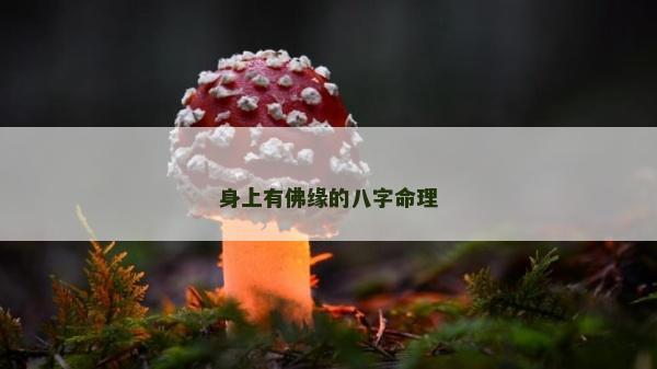 身上有佛缘的八字命理