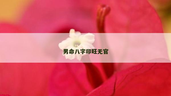 男命八字印旺无官