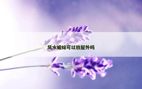 风水蟾蜍可以放屋外吗