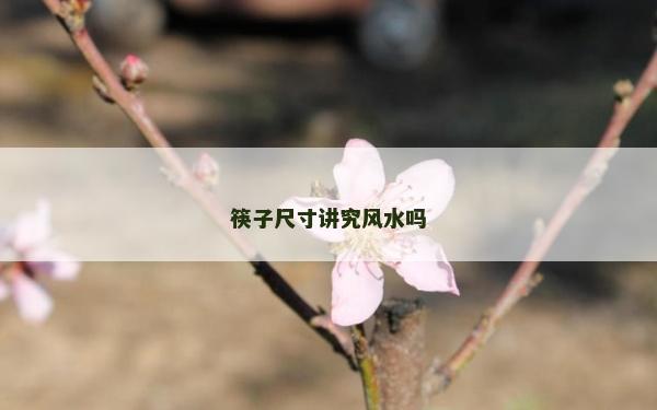 筷子尺寸讲究风水吗