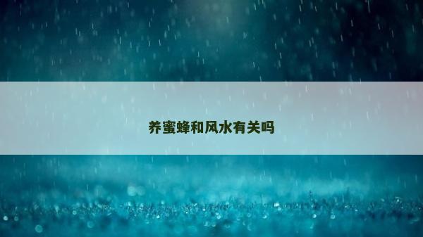 养蜜蜂和风水有关吗