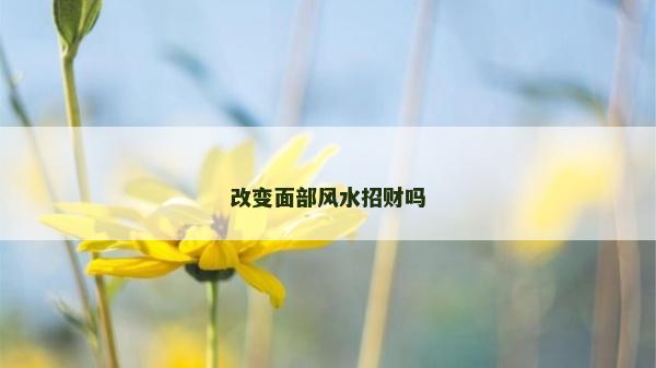 改变面部风水招财吗