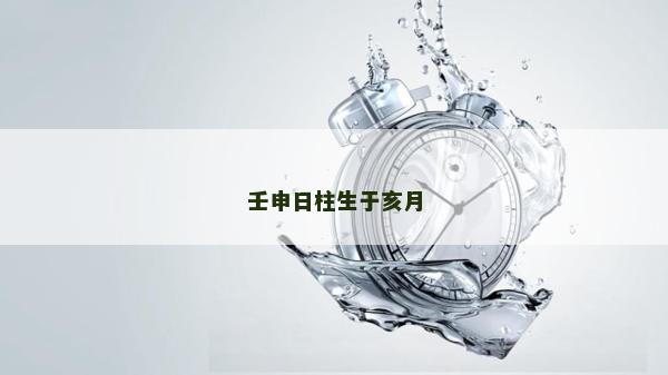 壬申日柱生于亥月