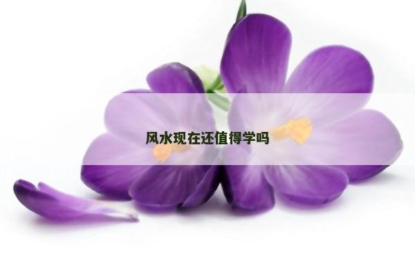 风水现在还值得学吗