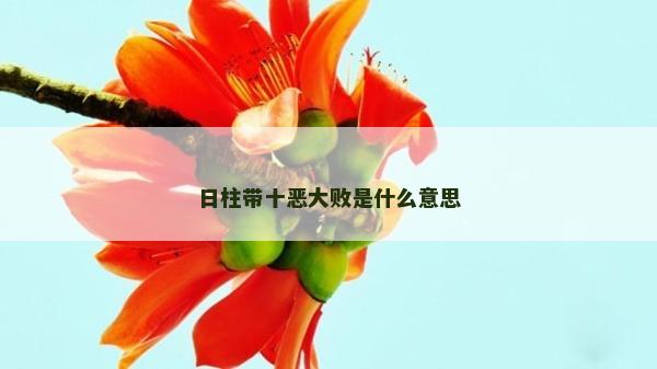 日柱带十恶大败是什么意思
