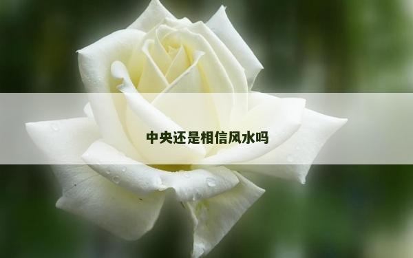 中央还是相信风水吗