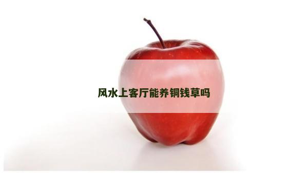 风水上客厅能养铜钱草吗