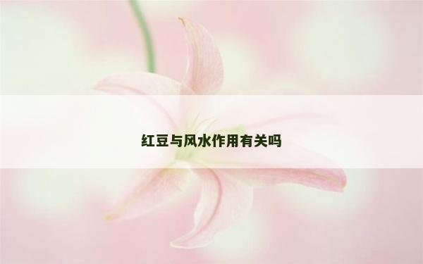 红豆与风水作用有关吗
