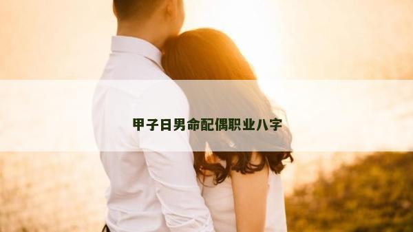 甲子日男命配偶职业八字