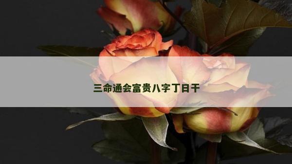 三命通会富贵八字丁日干