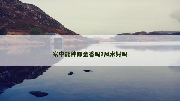 家中能种郁金香吗?风水好吗