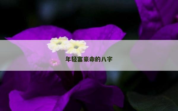 年轻富豪命的八字