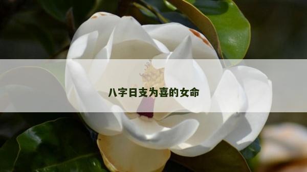 八字日支为喜的女命