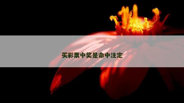 买彩票中奖是命中注定