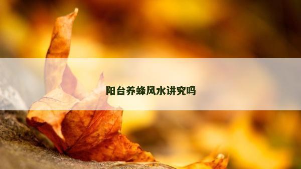 阳台养蜂风水讲究吗