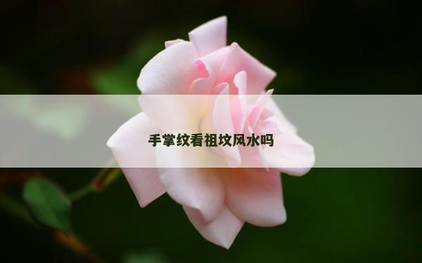 手掌纹看祖坟风水吗
