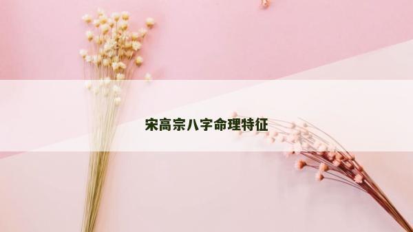宋高宗八字命理特征