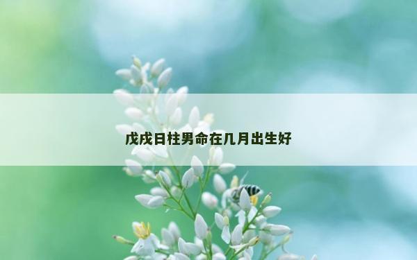 戊戌日柱男命在几月出生好