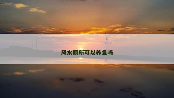 风水厕所可以养鱼吗