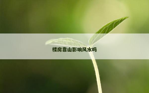 楼房靠山影响风水吗