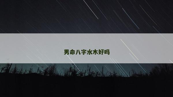 男命八字水木好吗