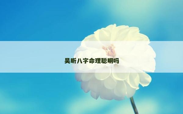 吴昕八字命理聪明吗