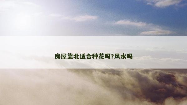 房屋靠北适合种花吗?风水吗
