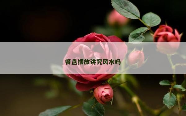 餐盘摆放讲究风水吗