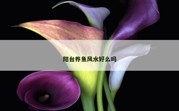 阳台养鱼风水好么吗