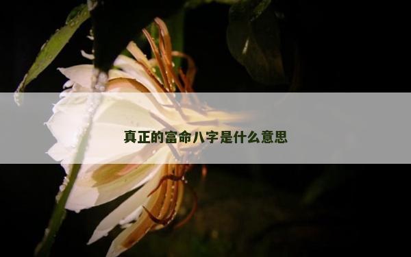 真正的富命八字是什么意思