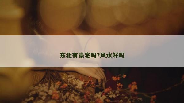 东北有豪宅吗?风水好吗