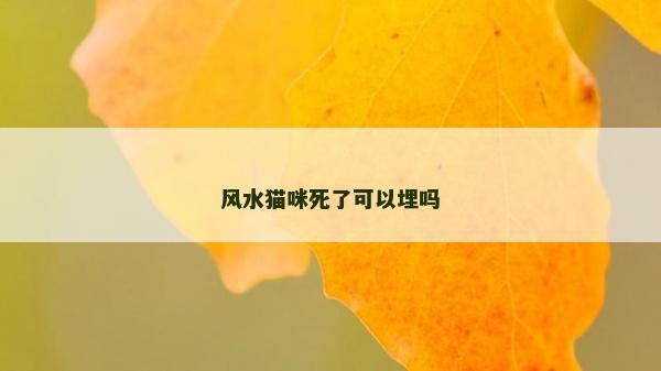 风水猫咪死了可以埋吗