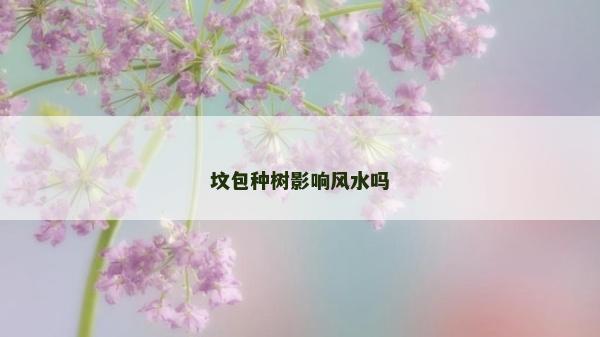 坟包种树影响风水吗