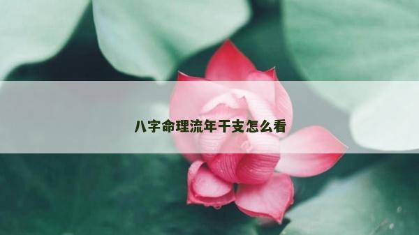 八字命理流年干支怎么看