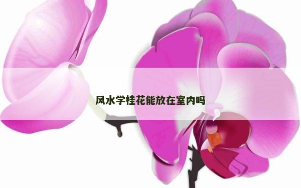 风水学桂花能放在室内吗