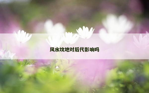 风水坟地对后代影响吗