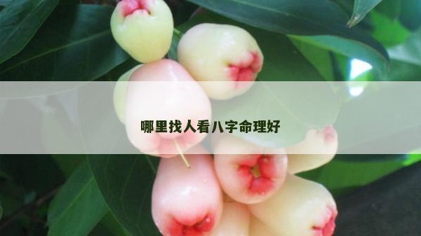 哪里找人看八字命理好