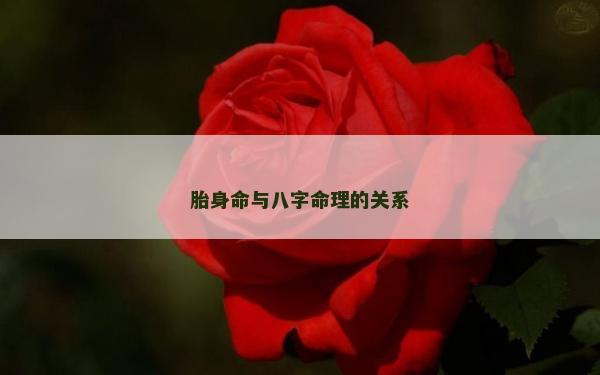 胎身命与八字命理的关系