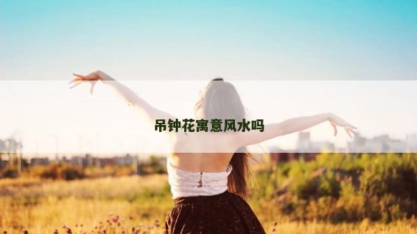 吊钟花寓意风水吗