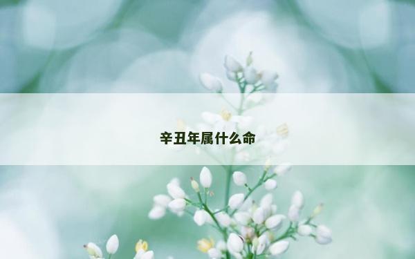 辛丑年属什么命