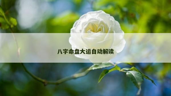 八字命盘大运自动解读