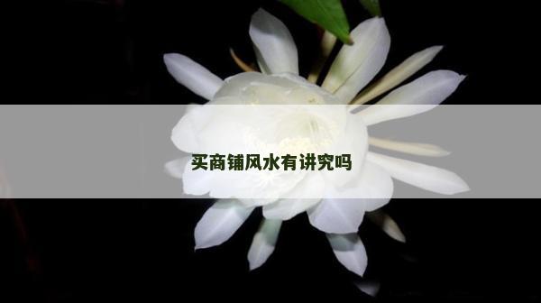 买商铺风水有讲究吗
