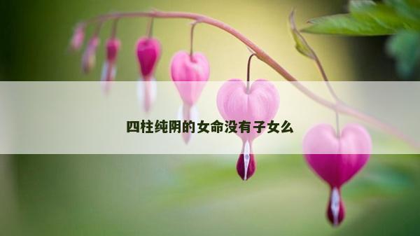 四柱纯阴的女命没有子女么