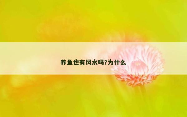 养鱼也有风水吗?为什么