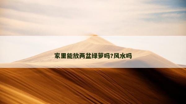 家里能放两盆绿萝吗?风水吗