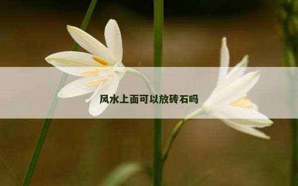 风水上面可以放砖石吗