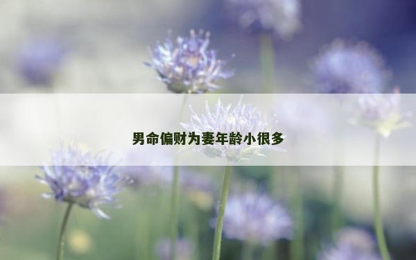 男命偏财为妻年龄小很多