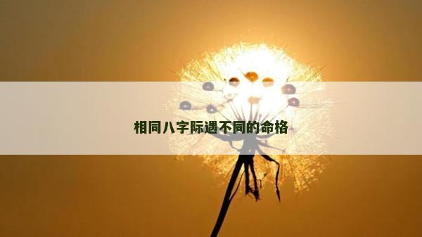 相同八字际遇不同的命格
