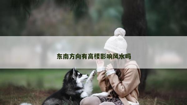 东南方向有高楼影响风水吗